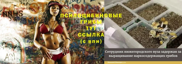 шишки Алзамай
