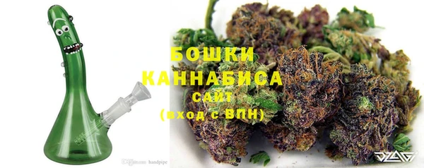 прущий лед Абаза